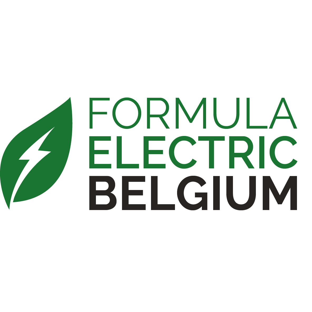 Logo - Formula electric Belgium